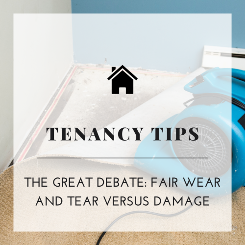 The Great Debate: Fair Wear And Tear Versus Damage